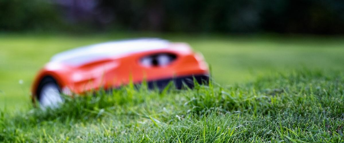 Robot tondeuse sans fil : la solution idéale pour entretenir votre pelouse ?