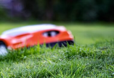 Robot tondeuse sans fil : la solution idéale pour entretenir votre pelouse ?